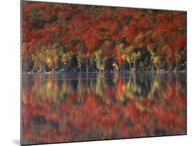 New York, Adirondack Mts, Fall and Fog Reflecting in Heart Lake-Christopher Talbot Frank-Mounted Photographic Print
