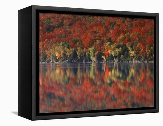 New York, Adirondack Mts, Fall and Fog Reflecting in Heart Lake-Christopher Talbot Frank-Framed Stretched Canvas