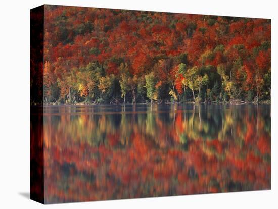 New York, Adirondack Mts, Fall and Fog Reflecting in Heart Lake-Christopher Talbot Frank-Stretched Canvas