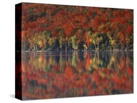 New York, Adirondack Mts, Fall and Fog Reflecting in Heart Lake-Christopher Talbot Frank-Stretched Canvas