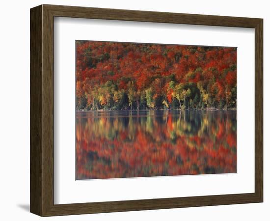 New York, Adirondack Mts, Fall and Fog Reflecting in Heart Lake-Christopher Talbot Frank-Framed Photographic Print