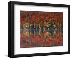 New York, Adirondack Mts, Fall and Fog Reflecting in Heart Lake-Christopher Talbot Frank-Framed Photographic Print