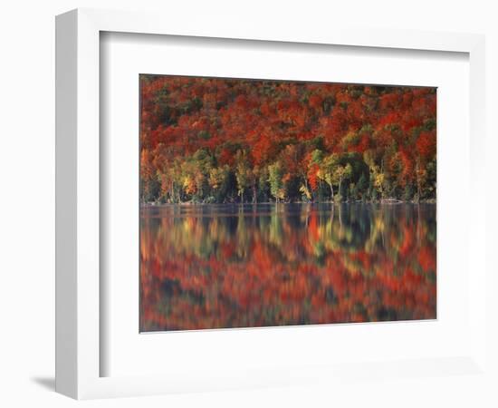 New York, Adirondack Mts, Fall and Fog Reflecting in Heart Lake-Christopher Talbot Frank-Framed Photographic Print