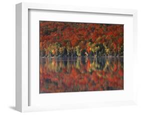 New York, Adirondack Mts, Fall and Fog Reflecting in Heart Lake-Christopher Talbot Frank-Framed Photographic Print