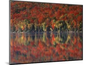 New York, Adirondack Mts, Fall and Fog Reflecting in Heart Lake-Christopher Talbot Frank-Mounted Photographic Print