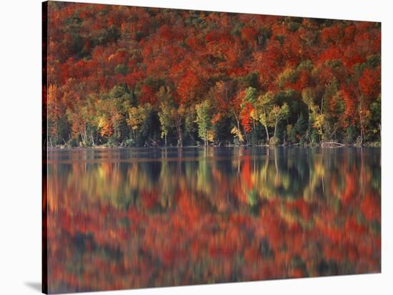 New York, Adirondack Mts, Fall and Fog Reflecting in Heart Lake-Christopher Talbot Frank-Stretched Canvas