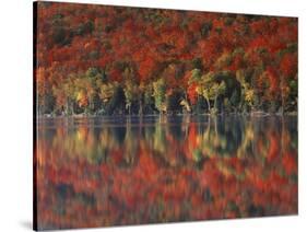 New York, Adirondack Mts, Fall and Fog Reflecting in Heart Lake-Christopher Talbot Frank-Stretched Canvas