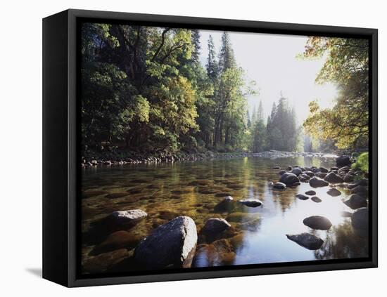 New York, Adirondack Mts, Fall Trees Alond a Stream-Christopher Talbot Frank-Framed Stretched Canvas