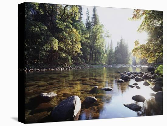 New York, Adirondack Mts, Fall Trees Alond a Stream-Christopher Talbot Frank-Stretched Canvas