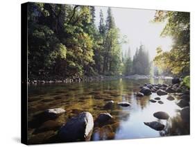 New York, Adirondack Mts, Fall Trees Alond a Stream-Christopher Talbot Frank-Stretched Canvas