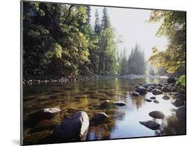 New York, Adirondack Mts, Fall Trees Alond a Stream-Christopher Talbot Frank-Mounted Premium Photographic Print