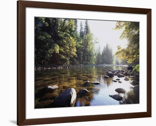 New York, Adirondack Mts, Fall Trees Alond a Stream-Christopher Talbot Frank-Framed Photographic Print