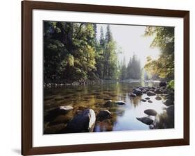 New York, Adirondack Mts, Fall Trees Alond a Stream-Christopher Talbot Frank-Framed Photographic Print