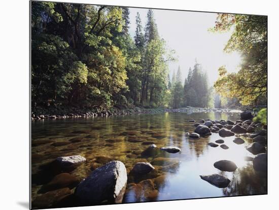 New York, Adirondack Mts, Fall Trees Alond a Stream-Christopher Talbot Frank-Mounted Photographic Print