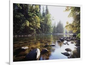 New York, Adirondack Mts, Fall Trees Alond a Stream-Christopher Talbot Frank-Framed Photographic Print