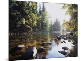 New York, Adirondack Mts, Fall Trees Alond a Stream-Christopher Talbot Frank-Mounted Photographic Print