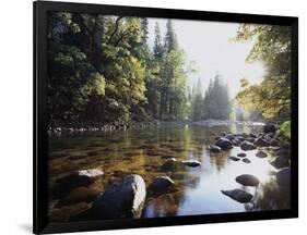 New York, Adirondack Mts, Fall Trees Alond a Stream-Christopher Talbot Frank-Framed Photographic Print