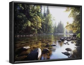 New York, Adirondack Mts, Fall Trees Alond a Stream-Christopher Talbot Frank-Framed Photographic Print