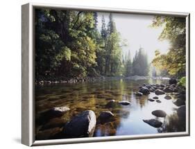 New York, Adirondack Mts, Fall Trees Alond a Stream-Christopher Talbot Frank-Framed Photographic Print