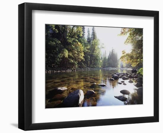 New York, Adirondack Mts, Fall Trees Alond a Stream-Christopher Talbot Frank-Framed Photographic Print