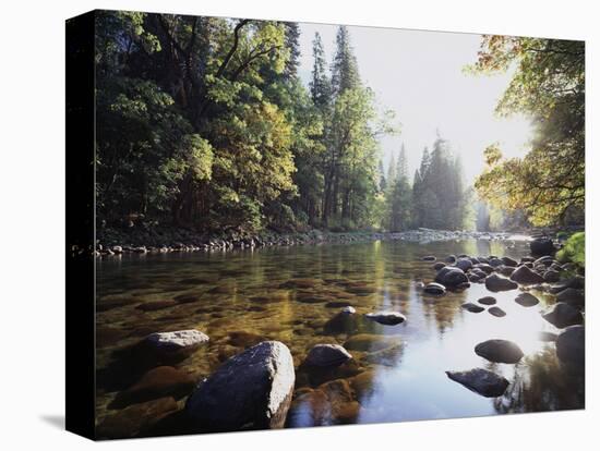 New York, Adirondack Mts, Fall Trees Alond a Stream-Christopher Talbot Frank-Stretched Canvas