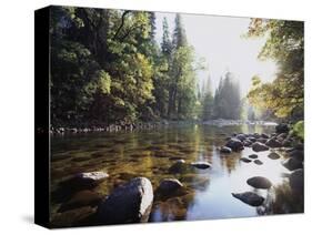 New York, Adirondack Mts, Fall Trees Alond a Stream-Christopher Talbot Frank-Stretched Canvas