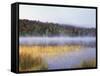 New York, Adirondack Mts, Fall Trees Reflecting in a Pond-Christopher Talbot Frank-Framed Stretched Canvas