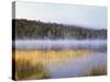 New York, Adirondack Mts, Fall Trees Reflecting in a Pond-Christopher Talbot Frank-Stretched Canvas