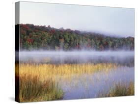 New York, Adirondack Mts, Fall Trees Reflecting in a Pond-Christopher Talbot Frank-Stretched Canvas