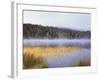 New York, Adirondack Mts, Fall Trees Reflecting in a Pond-Christopher Talbot Frank-Framed Photographic Print