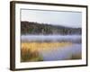 New York, Adirondack Mts, Fall Trees Reflecting in a Pond-Christopher Talbot Frank-Framed Photographic Print