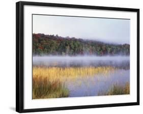 New York, Adirondack Mts, Fall Trees Reflecting in a Pond-Christopher Talbot Frank-Framed Photographic Print