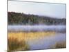 New York, Adirondack Mts, Fall Trees Reflecting in a Pond-Christopher Talbot Frank-Mounted Photographic Print