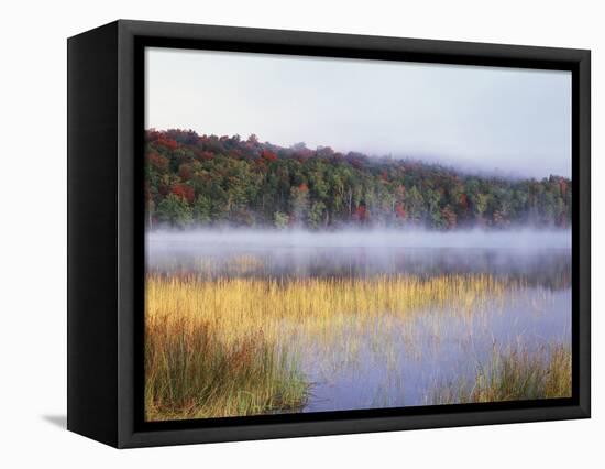 New York, Adirondack Mts, Fall Trees Reflecting in a Pond-Christopher Talbot Frank-Framed Stretched Canvas