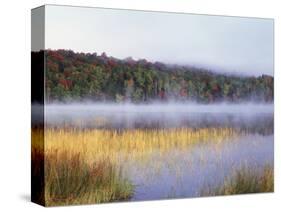 New York, Adirondack Mts, Fall Trees Reflecting in a Pond-Christopher Talbot Frank-Stretched Canvas