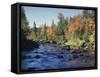 New York, Adirondack Mts, Sugar Maple Trees Along the AUSAble River-Christopher Talbot Frank-Framed Stretched Canvas