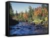 New York, Adirondack Mts, Sugar Maple Trees Along the AUSAble River-Christopher Talbot Frank-Framed Stretched Canvas