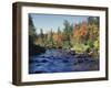 New York, Adirondack Mts, Sugar Maple Trees Along the AUSAble River-Christopher Talbot Frank-Framed Premium Photographic Print
