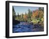 New York, Adirondack Mts, Sugar Maple Trees Along the AUSAble River-Christopher Talbot Frank-Framed Premium Photographic Print