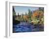 New York, Adirondack Mts, Sugar Maple Trees Along the AUSAble River-Christopher Talbot Frank-Framed Premium Photographic Print