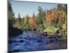 New York, Adirondack Mts, Sugar Maple Trees Along the AUSAble River-Christopher Talbot Frank-Mounted Premium Photographic Print