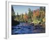 New York, Adirondack Mts, Sugar Maple Trees Along the AUSAble River-Christopher Talbot Frank-Framed Photographic Print