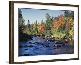 New York, Adirondack Mts, Sugar Maple Trees Along the AUSAble River-Christopher Talbot Frank-Framed Photographic Print