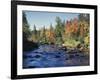 New York, Adirondack Mts, Sugar Maple Trees Along the AUSAble River-Christopher Talbot Frank-Framed Photographic Print