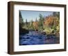 New York, Adirondack Mts, Sugar Maple Trees Along the AUSAble River-Christopher Talbot Frank-Framed Photographic Print