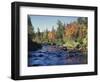 New York, Adirondack Mts, Sugar Maple Trees Along the AUSAble River-Christopher Talbot Frank-Framed Photographic Print