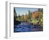 New York, Adirondack Mts, Sugar Maple Trees Along the AUSAble River-Christopher Talbot Frank-Framed Photographic Print