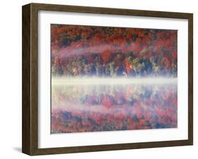 New York, Adirondack Mts, Sugar Maples and Fog at Heart Lake in Autumn-Christopher Talbot Frank-Framed Photographic Print