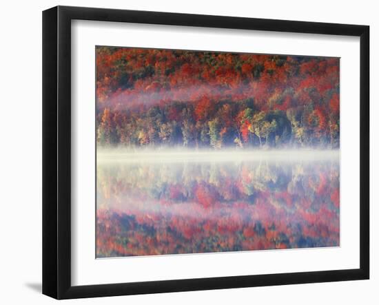 New York, Adirondack Mts, Sugar Maples and Fog at Heart Lake in Autumn-Christopher Talbot Frank-Framed Photographic Print