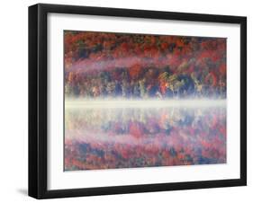 New York, Adirondack Mts, Sugar Maples and Fog at Heart Lake in Autumn-Christopher Talbot Frank-Framed Photographic Print